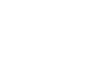 Icon.InternetMarketing copy